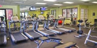 20561 Larino Loop Gallery 22