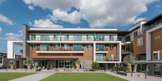 Roadrunner on McDowell Gallery 30