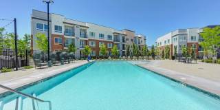 Halcyon Apartments Gallery 1