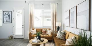 Canopy at Sundance Gallery 34