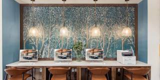 Northpark Place Gallery 8