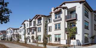 Vida Morgan Hill Gallery 37