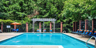 Midsouth 301 Gallery 23