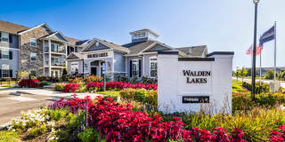 Walden Lakes Gallery 24