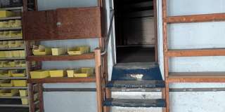 2004 FREDERICK Avenue Gallery 9