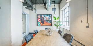 Plant 64 Gallery 20