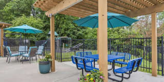 Arbor Mist Townhomes Gallery 3