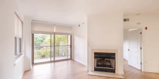 Park Connecticut Gallery 4