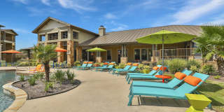 Hollow Tree Park Gallery 5