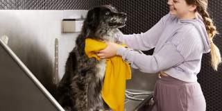 Star Metals Gallery 13