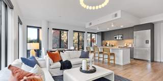 Aster & Links Gallery 29