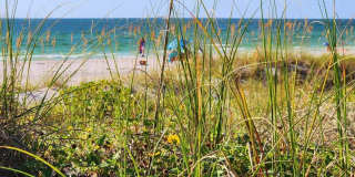 FURNISHED LUXURY 3 Br 3 Ba RENTAL NEAR DOWNTOWN ST PETERSBURG, FL Gallery 28