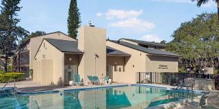 Cozy 2 Bed 1.5 Bathroom in Temple Terrace Gallery 23