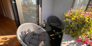 2050 Dracena Dr. Gallery 20