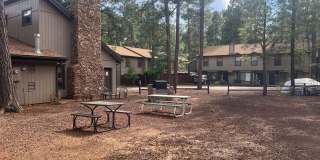 Updated Townhouse backed by National Forest Gallery 36