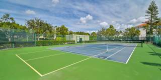 FIRST FLOOR CONDO ~ Walking Distance to Coconut Mall Gallery 24