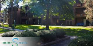 TRENT 558 Gallery 1
