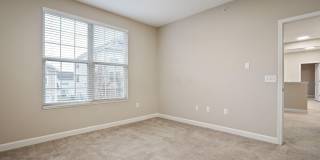 5137 Foxtail Pine Street Gallery 24