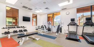 Oro Vista Apartments Gallery 19