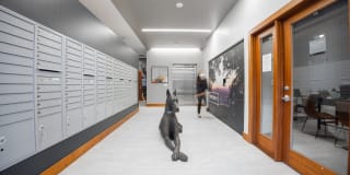 FortyOne 11 Apartments Gallery 62