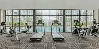 The Callie Gallery 10