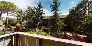 Birch Creek Gallery 22