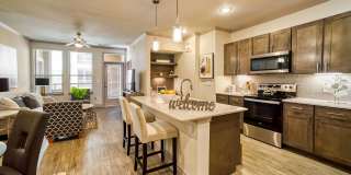 Belle Spring Branch Gallery 16