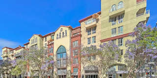 Stylish 1BD/1BA Condo in Cortez Hill with Balcony, In-Unit W/D & Pool Views Gallery 1