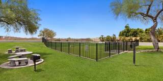 Cortland Scottsdale Mountain Gallery 31