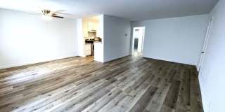 10908 Rose Gallery 10