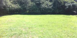 3 Bedroom Brick Ranch in East Charlotte For Rent! Gallery 3