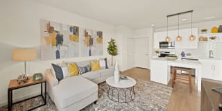 Camber Apartments Gallery 16