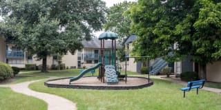 Buena Vista Gallery 7