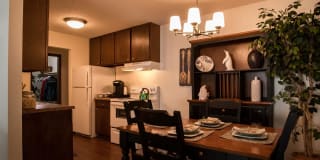 The Willows Gallery 1