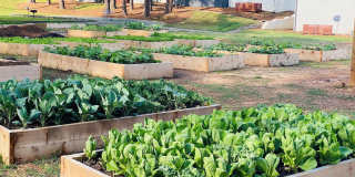 Villas of Embry Hills  Apartment Homes Gallery 1