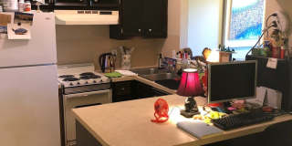 Cottonwood Gallery 1