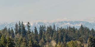 Furnished Bainbridge Island Waterfront Home with Incredible Views Gallery 55