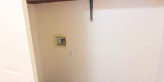#330 AUTUMN CHASE Gallery 23