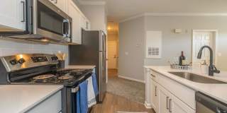 Mallard Glen Gallery 109