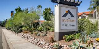 Avenue at San Marcos Gallery 39