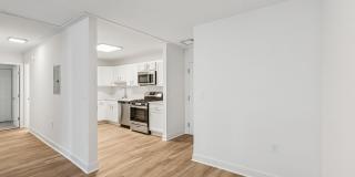 Arrive Silver Spring Gallery 26