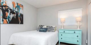 Ashford Apartments Gallery 13