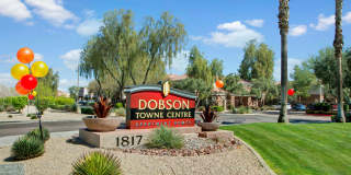 Dobson Towne Centre Gallery 29
