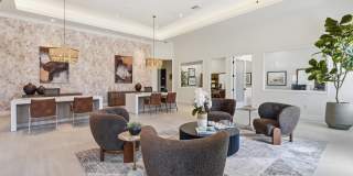 Avino Gallery 38