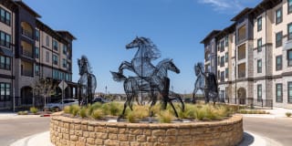 Cavalli at Iron Horse Station Gallery 30