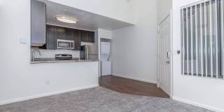 Metro Tucson Gallery 62