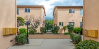 4854-4860 Hazeltine Apartments Gallery 6