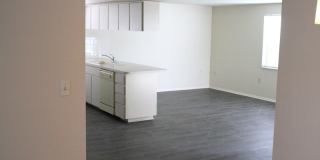 Beautiful large 2 bedroom 2 bath in New Port Richey Beautiful large 2 bedroom 2 bath in New Port Richey Gallery 5