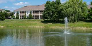 Carson Farms Gallery 26