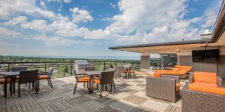 The Wellshire Gallery 15